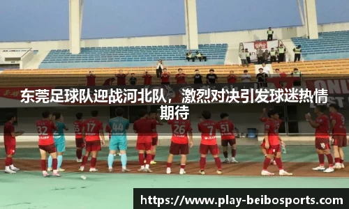 东莞足球队迎战河北队,激烈对决引发球迷热情期待