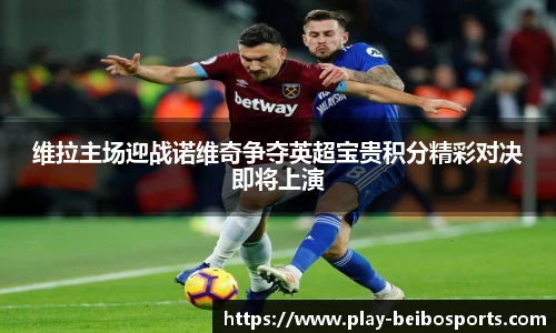 维拉主场迎战诺维奇争夺英超宝贵积分精彩对决即将上演