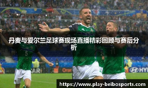 丹麦与爱尔兰足球赛现场直播精彩回顾与赛后分析