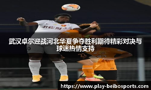 武汉卓尔迎战河北华夏争夺胜利期待精彩对决与球迷热情支持